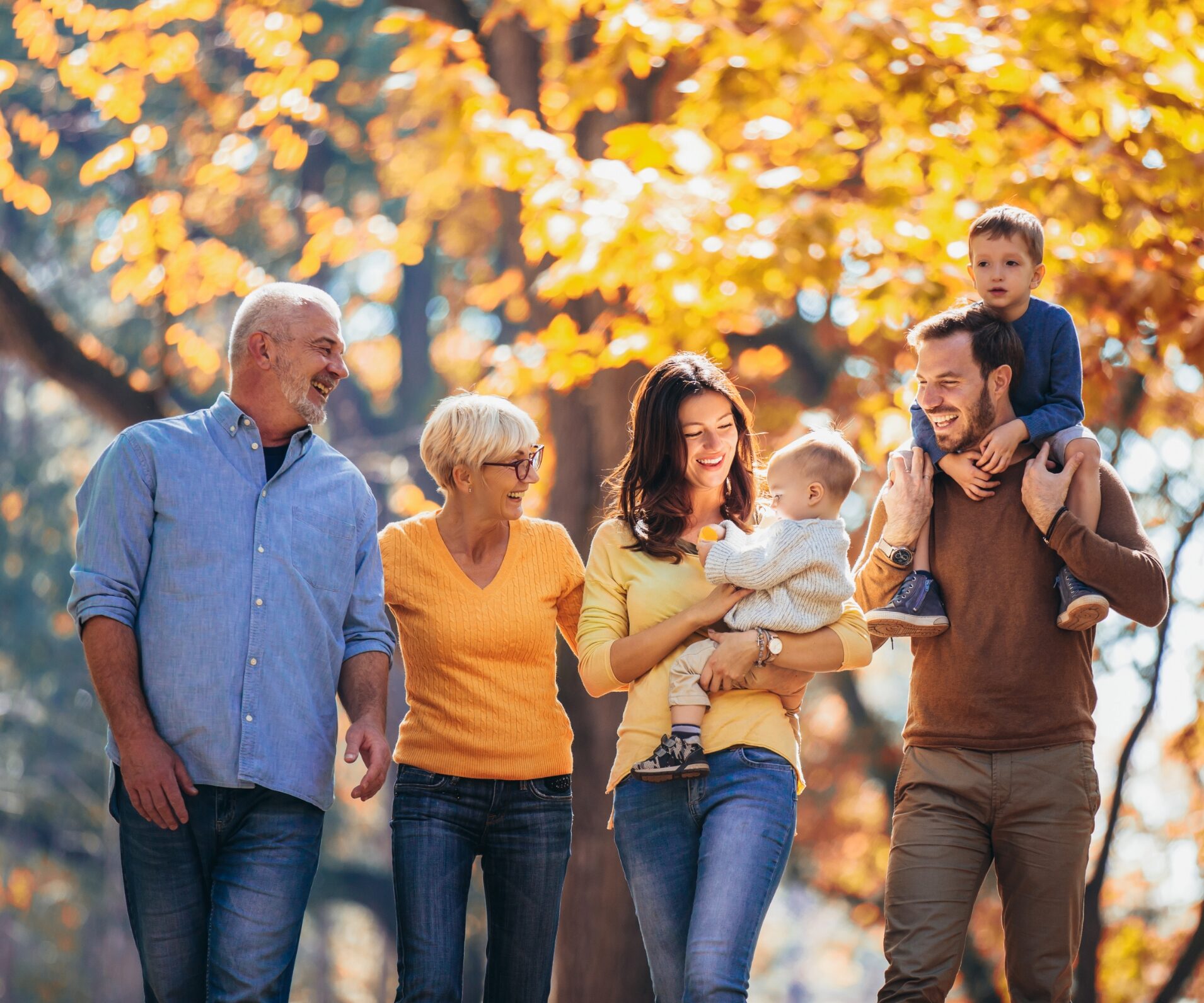 
						  organ donor registry					 